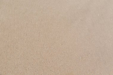 Sahilde güzel bir kum.