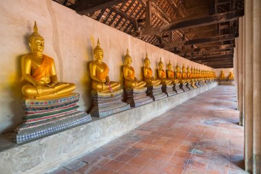 Eski güzel meditasyon sırası tapınakta Buda heykeli