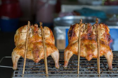 Fırında ızgara tavuk hazır.