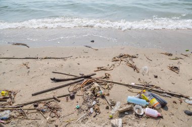 Plastik çöpler plaj çevresi kirliliğinde kirli