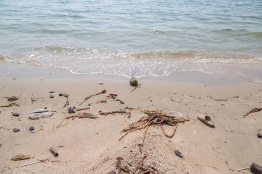 Plastik çöpler plaj çevresi kirliliğinde kirli