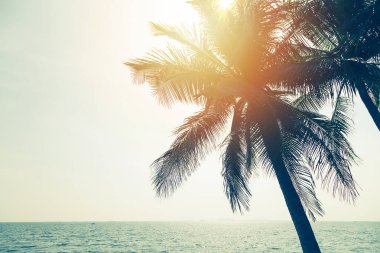 Hindistan cevizi, gökyüzü ve deniz güneşli bir günde tatil arka planında