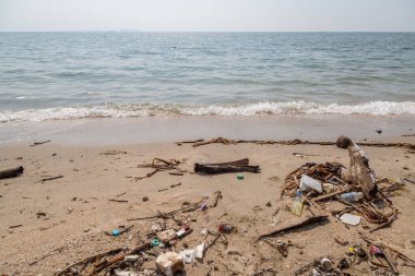 Plastik çöpler plaj çevresi kirliliğinde kirli