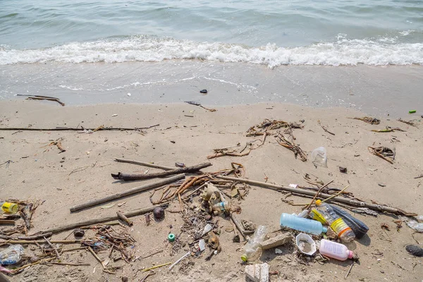 Plastik çöpler plaj çevresi kirliliğinde kirli
