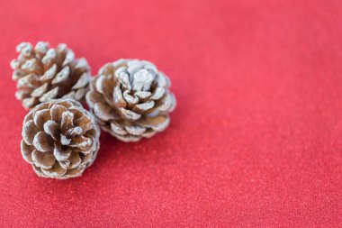 Kırmızı arka planda kurumuş çam topları