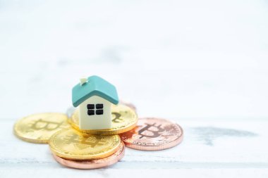 Ev, beyaz ahşap kaplamalı altın sikkeye yerleştiriliyor.