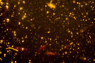 Mutlu Noeller ve yeni yıl arkaplanı için altın rengi parıltılı ışıklar soyut bokeh