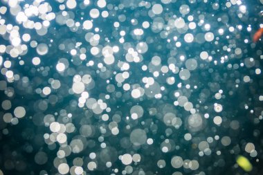 Karanlık arkaplanda odaklanmış ışık bokeh 'ini soyut olarak ayır