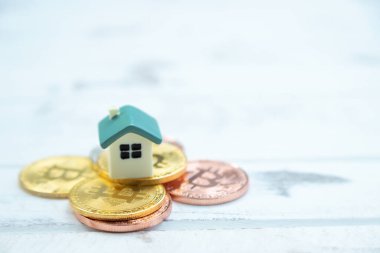 Ev, beyaz ahşap kaplamalı altın sikkeye yerleştiriliyor.