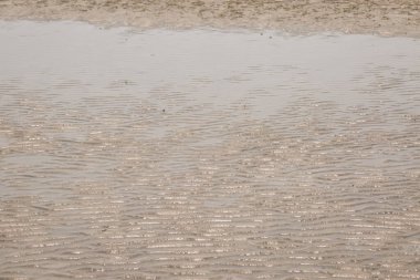 Sahilde sarı dalga kum dokusu