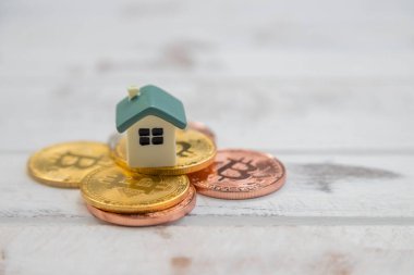 Ev, beyaz ahşap kaplamalı altın sikkeye yerleştiriliyor.