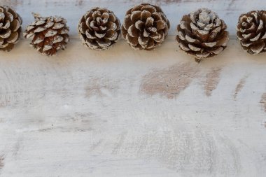 Beyaz, eski ahşap arka planda kurumuş çam topları.