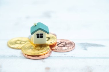 Ev, beyaz ahşap kaplamalı altın sikkeye yerleştiriliyor.