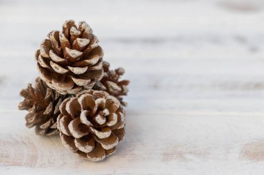 Beyaz, eski ahşap arka planda kurumuş çam topları.