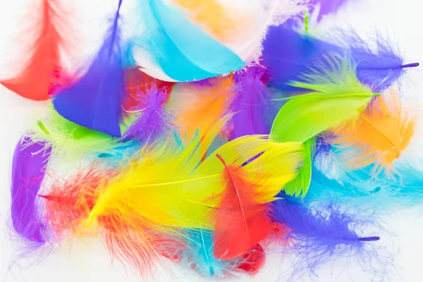 Close Soft Colorful Feather White Background — Stock Photo, Image