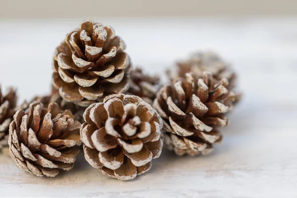 Beyaz, eski ahşap arka planda kurumuş çam topları.