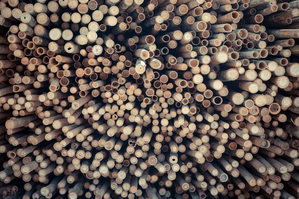 Schöne Natur Schneiden Bambusstäbe Textur Verwendung Für Muster Hintergrund — Stockfoto