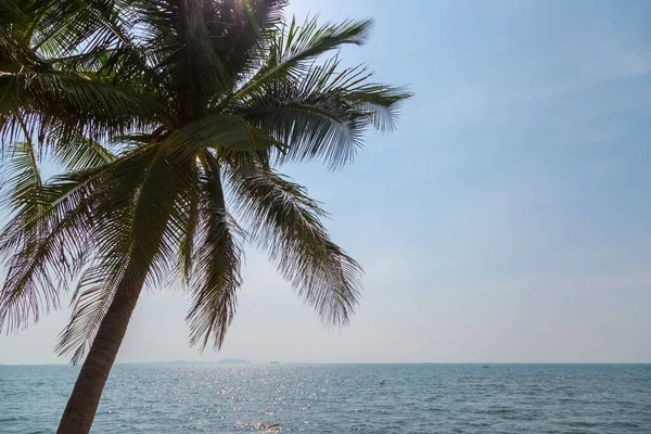 假期背景下阳光明媚的椰子 蓝天和大海 — 图库照片