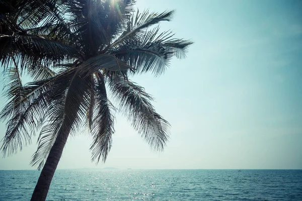 Кокос Небо Море Солнечный День Фоне Отдыха — стоковое фото