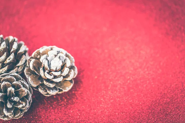 Kırmızı arka planda kurumuş çam topları