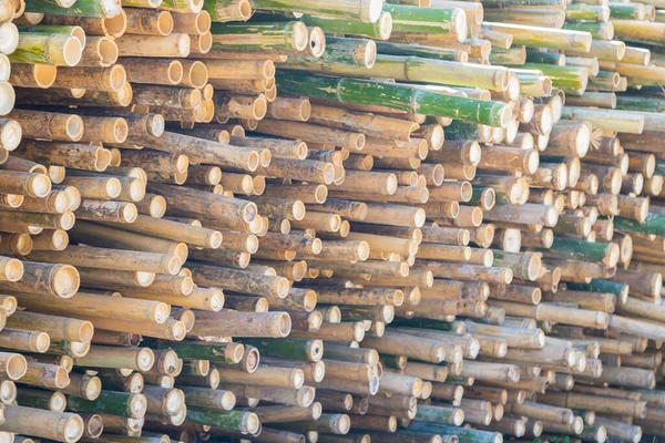 Schöne Natur Schneiden Bambusstäbe Textur Verwendung Für Muster Hintergrund — Stockfoto