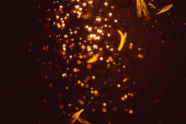 Soyut altın defocus bokeh simli vintage ışıklar siyah arkaplan
