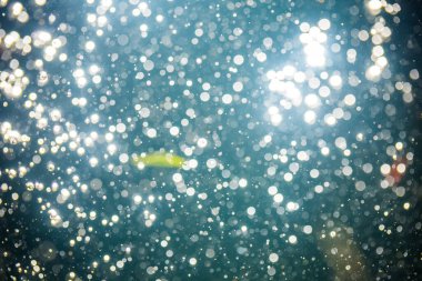 Karanlık arkaplanda odaklanmış ışık bokeh 'ini soyut olarak ayır