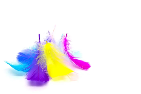 Beautiful Colorful Feather White Background — Foto de Stock