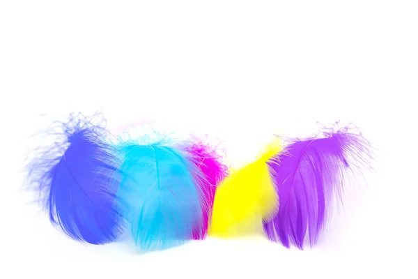 Beautiful Colorful Feather White Background — Stock Photo, Image