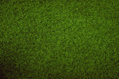 Yeşil yapay ot doğal