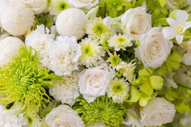 güller ve beyaz kasımpatı taze çiçek arkaplanı