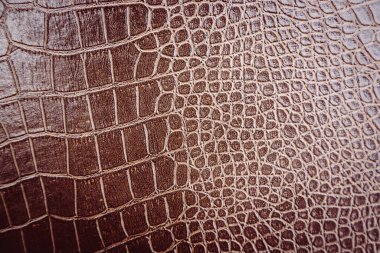 Arka plan için timsah derisi deseni kullanılır