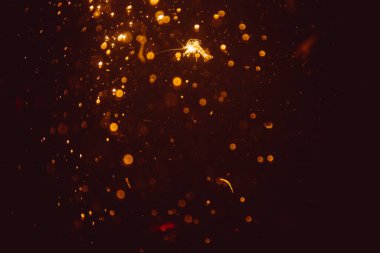 Soyut altın defocus bokeh simli vintage ışıklar siyah arkaplan