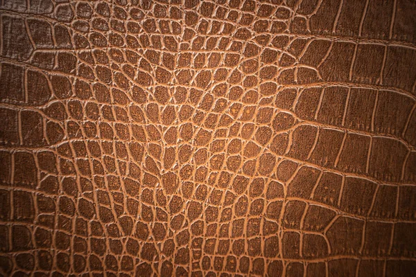 Brown Skin Leather Texture Use Background — стоковое фото