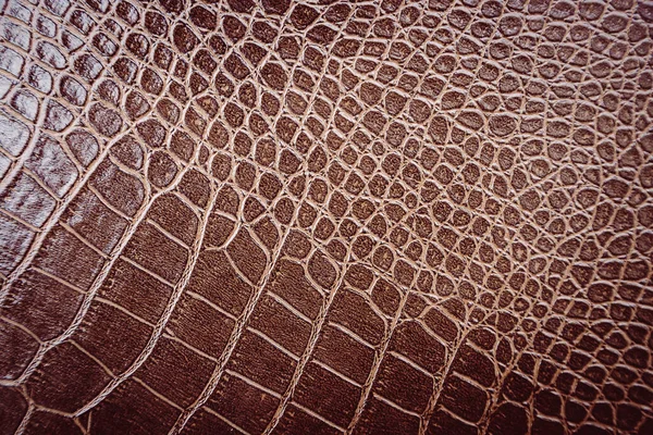 Crocodile Leather Pattern Used Background — ストック写真