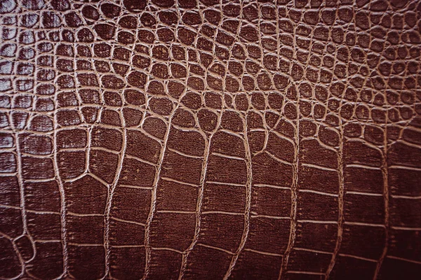 Crocodile Leather Pattern Used Background — ストック写真