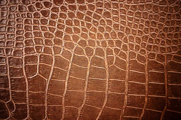 Crocodile Leather Pattern Used Background — Foto Stock