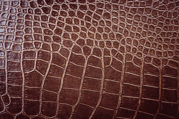 Arka plan için timsah derisi deseni kullanılır