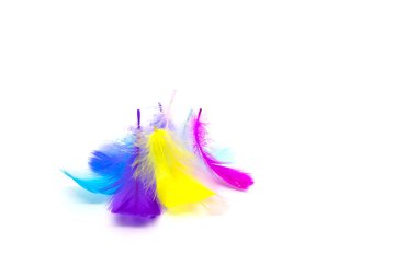 Beyaz arkaplanda güzel renkli tüy