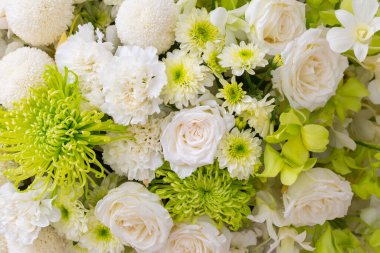 güller ve beyaz kasımpatı taze çiçek arkaplanı