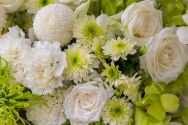 güller ve beyaz kasımpatı taze çiçek arkaplanı