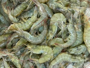 Piyasada dondurulmuş beyaz karides seçimi