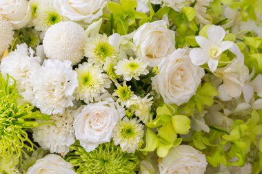 güller ve beyaz kasımpatı taze çiçek arkaplanı