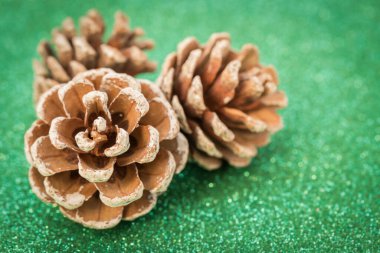 Yeşil bir arka planda kurumuş çam topları.