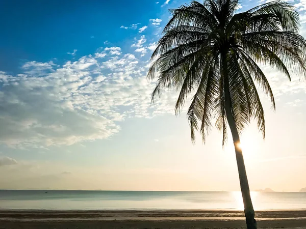 Пляже Находится Светлое Кокосовое Дерево Посреди Земли Красивый Закат Природный — стоковое фото