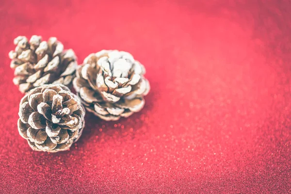 Kırmızı arka planda kurumuş çam topları