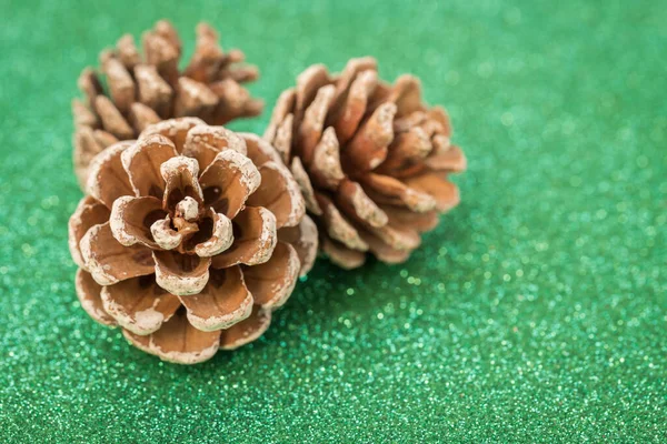 Yeşil bir arka planda kurumuş çam topları.