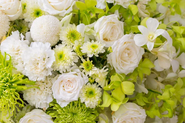 güller ve beyaz kasımpatı taze çiçek arkaplanı