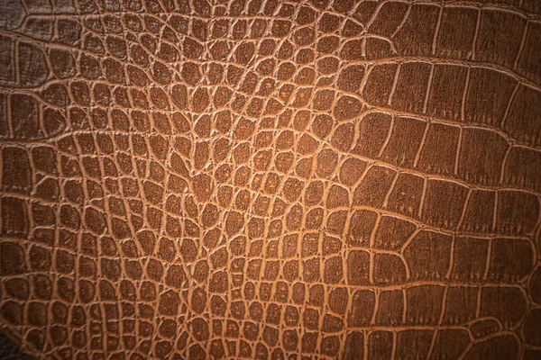 Brown Skin Leather Texture Use Background — ストック写真