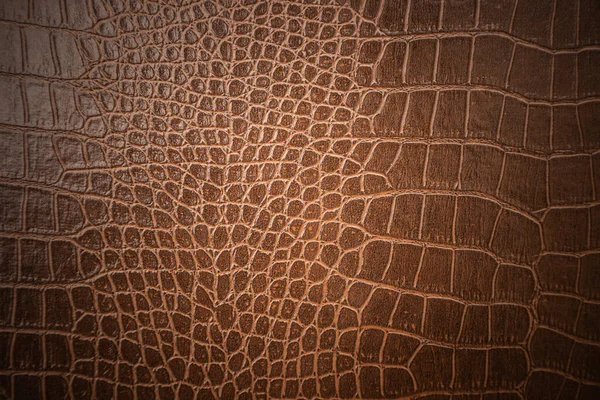 Arkaplan için kahverengi deri dokusu